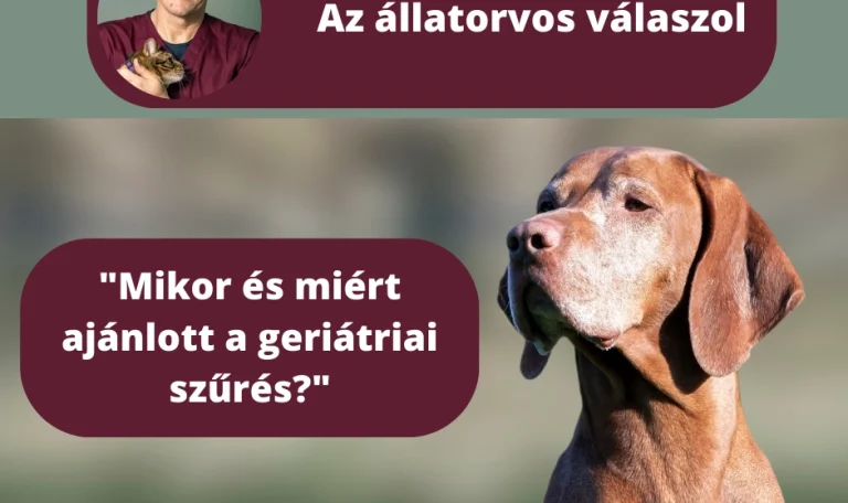 Mikor ajánlott a geriátriai szűrés