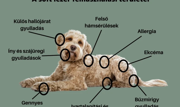 Soft lézer felhasználási területei